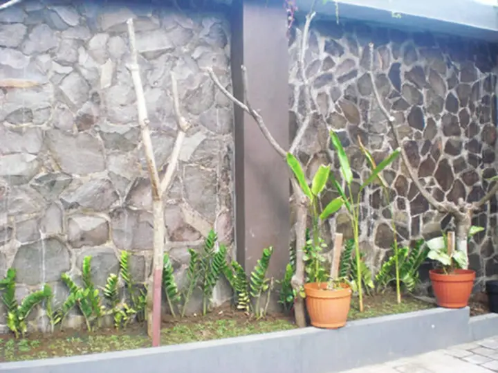 Кута: NB Bali Guest House