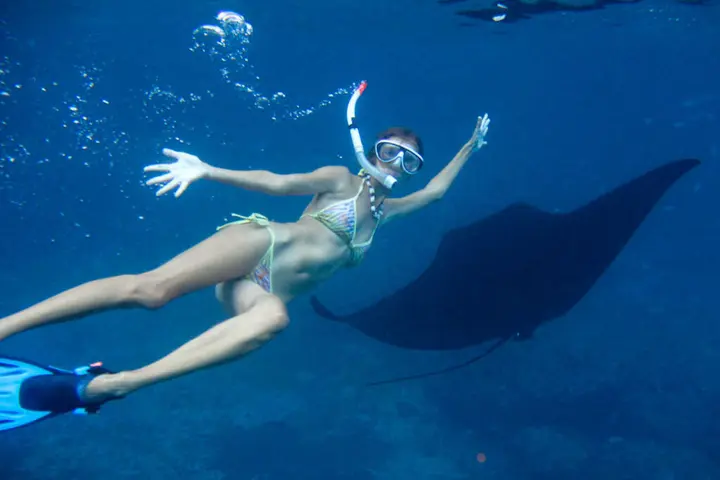 Лембонган-Айленд: Nyuh Gading Home Stay Lembongan