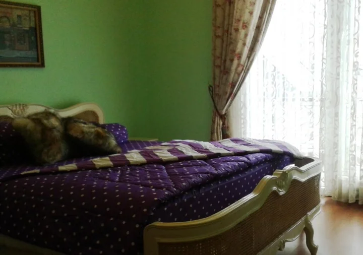 Джакарта: Elliottii Residence Duta Niaga