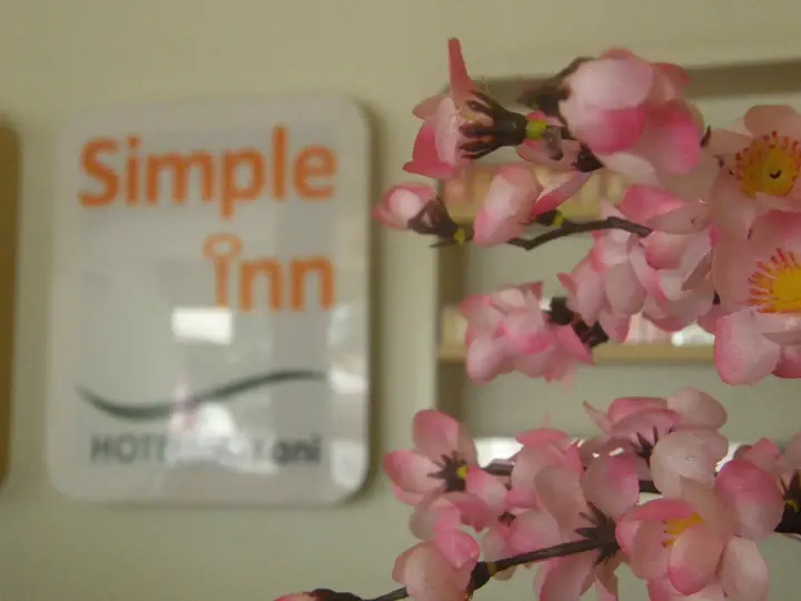 Суракарта: Simple Inn Solo