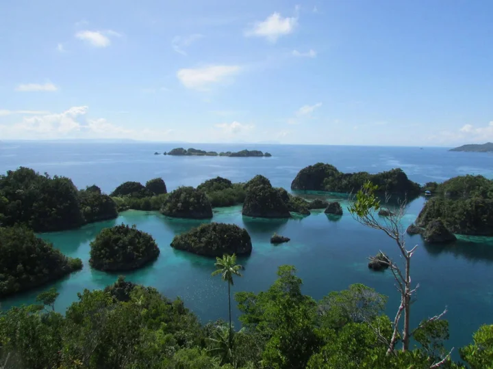 Соронг: Swiss-Belhotel Sorong
