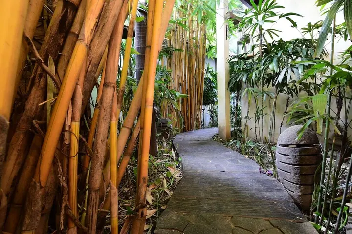 Джокьякарта: Tiga Lima Homestay Yogyakarta