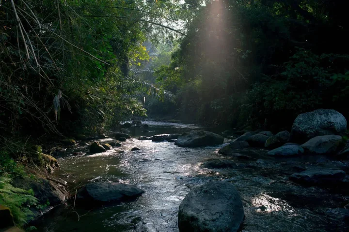Табанан: Villa Annapurna River View