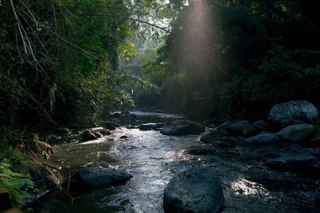 Табанан: Villa Annapurna River View
