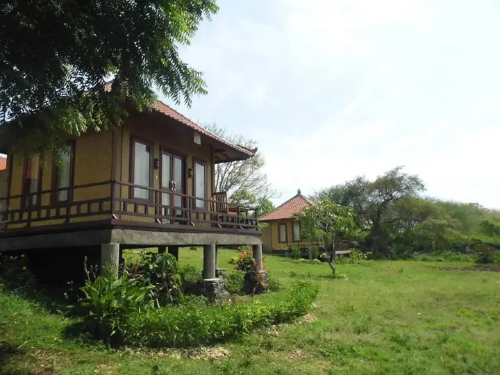 Педжаракан: White Sandy Beach Menjangan