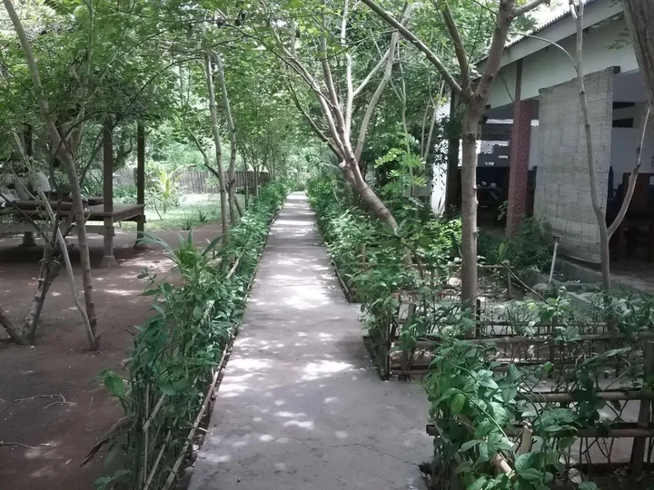 Гили-Мено: Putri Homestay