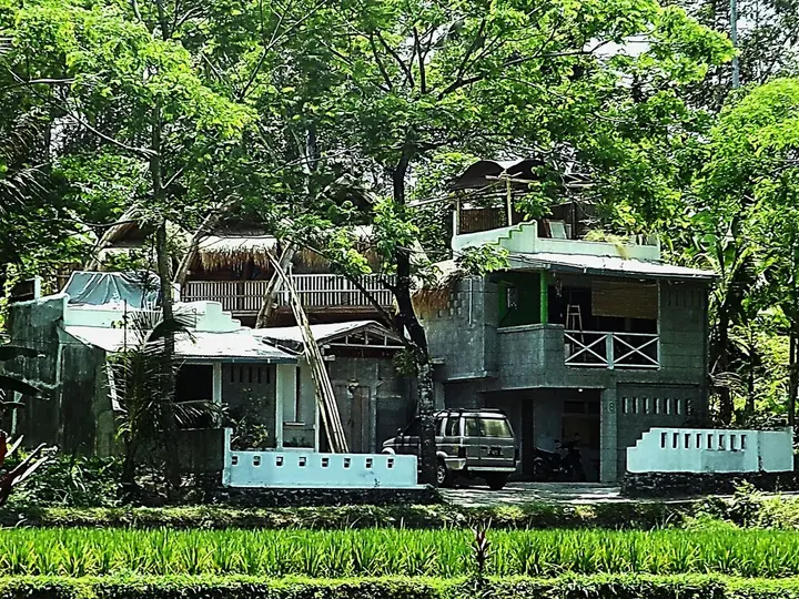 Паянган: Uma Nandhi Villa Ubud