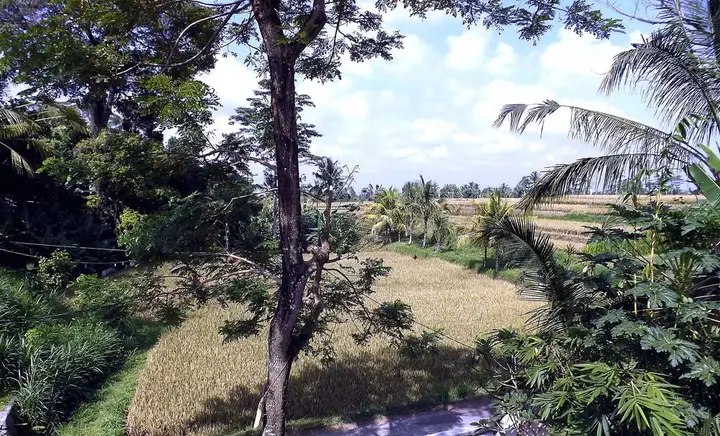 Паянган: Uma Nandhi Villa Ubud