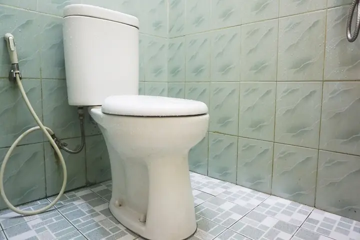 Пеканбару: Wisma Lotus