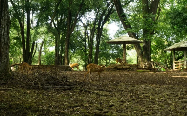 Джакарта: Pondok Labu Residence