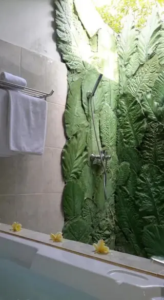 Батурити: The Aura Shanti Retreat