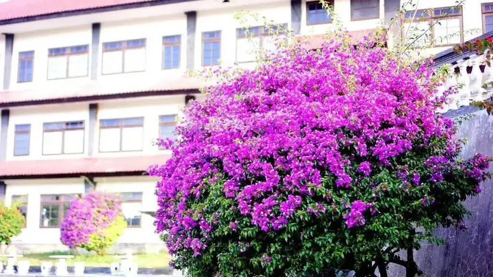 Кинтамани: Puri Bening Lake Front Hotel