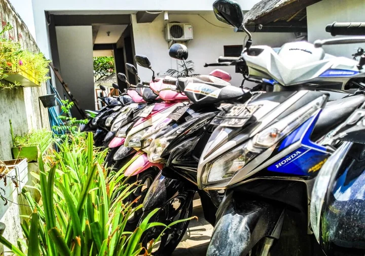 Пекату: Naturela Uluwatu