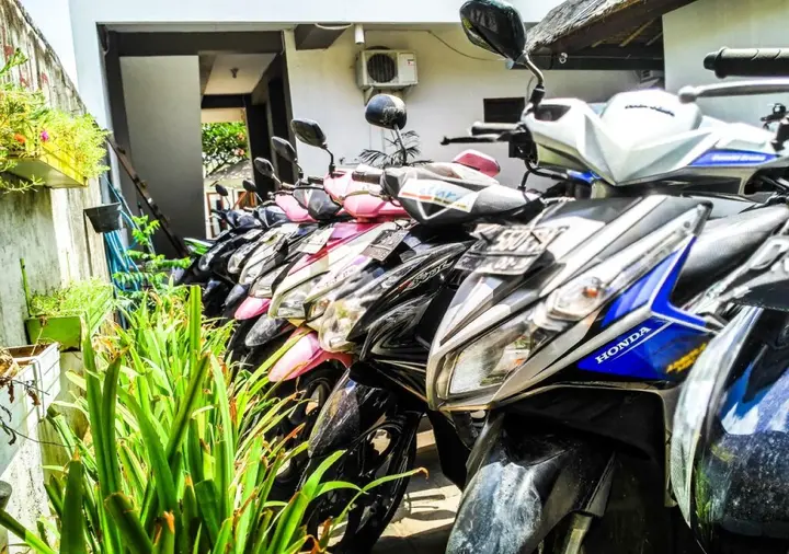 Пекату: Naturela Uluwatu