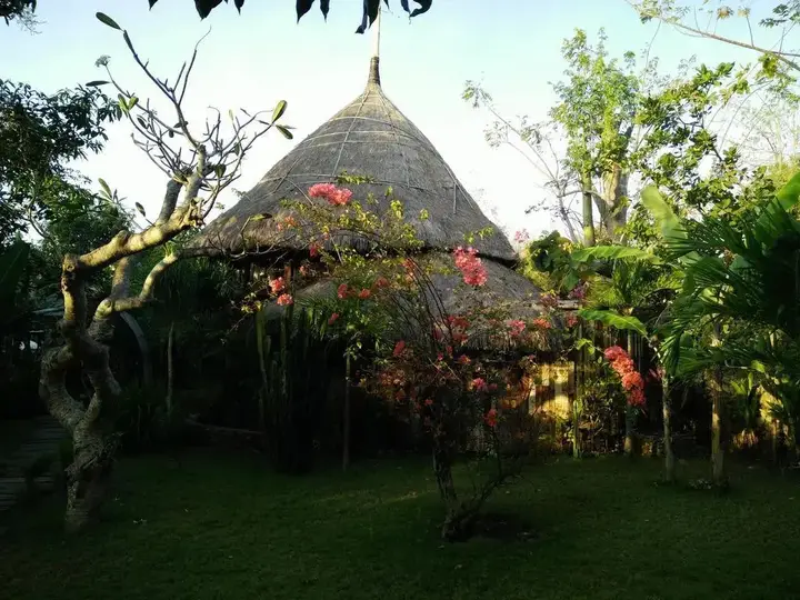 The Alchemist Lodge — фото 1
