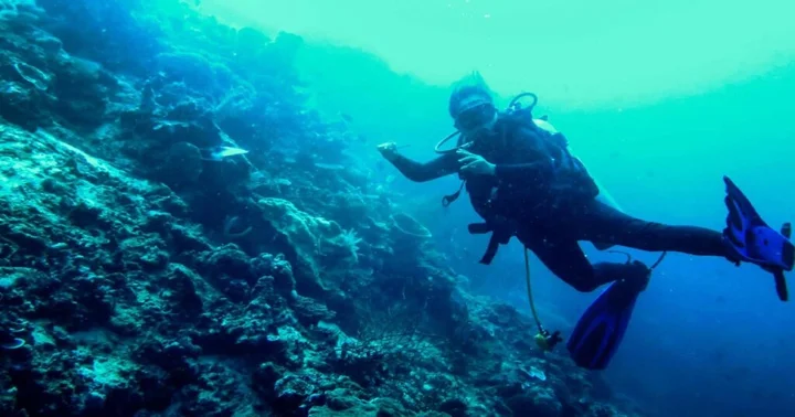 Битунг: Honey Bay Resort Lembeh