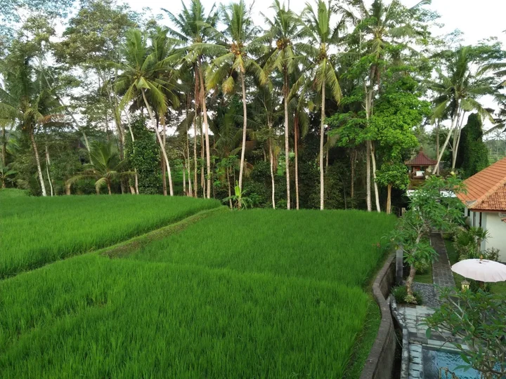 Убуд: Kubu Bali Baik Villa & Resort