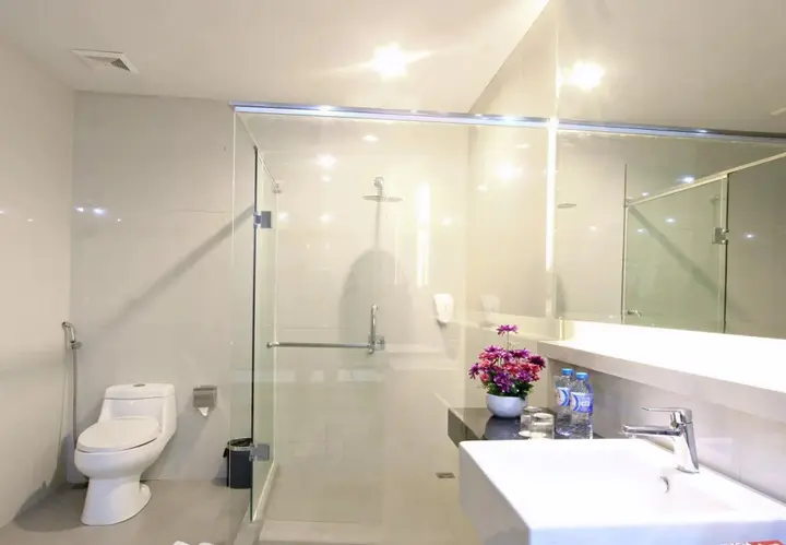 Пеканбару: Ameera Hotel