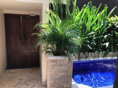 Villa Anyelir — фото 6