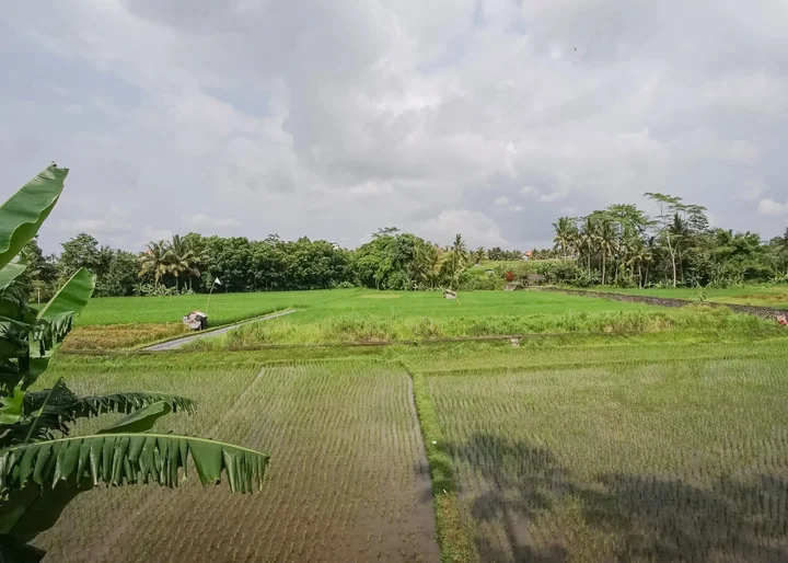 Табанан: Balam Bali Villa