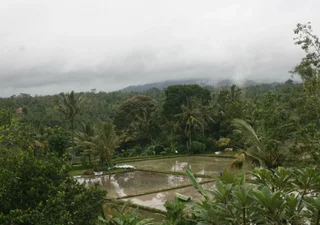 Паянган: Step Ubud Hotel