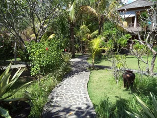 Бунутан: Green CoCo House