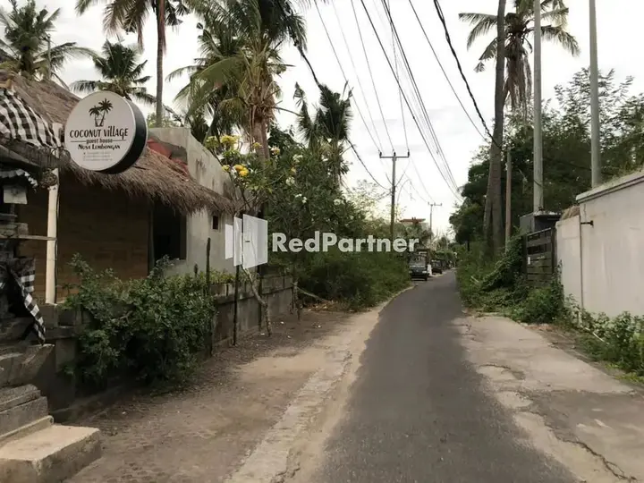Лембонган-Айленд: Coconut Village Guest House