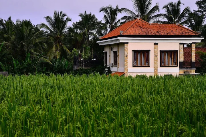Тегаллаланг: Ubud Sawah Homestay