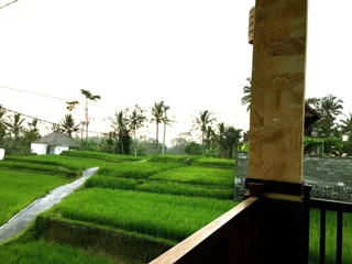 Тегаллаланг: Ubud Sawah Homestay