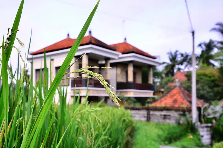 Тегаллаланг: Ubud Sawah Homestay