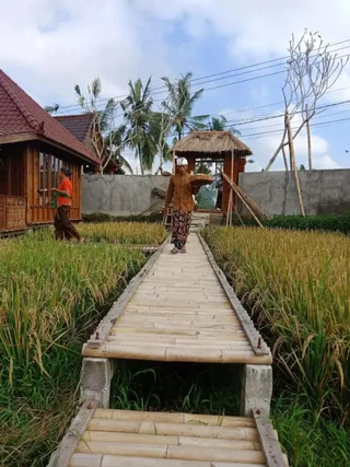 Тегаллаланг: Ubud Sawah Homestay