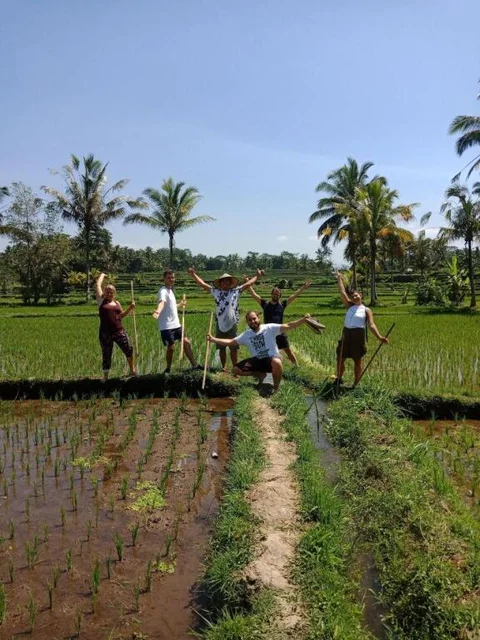 Тегаллаланг: Ubud Sawah Homestay