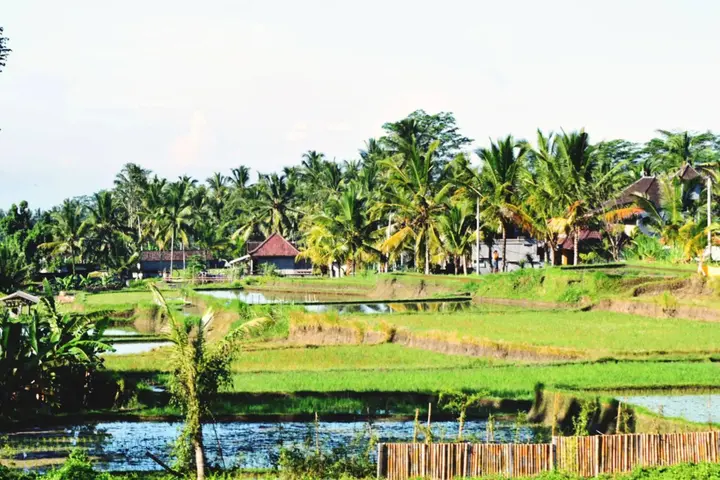 Тегаллаланг: Ubud Sawah Homestay