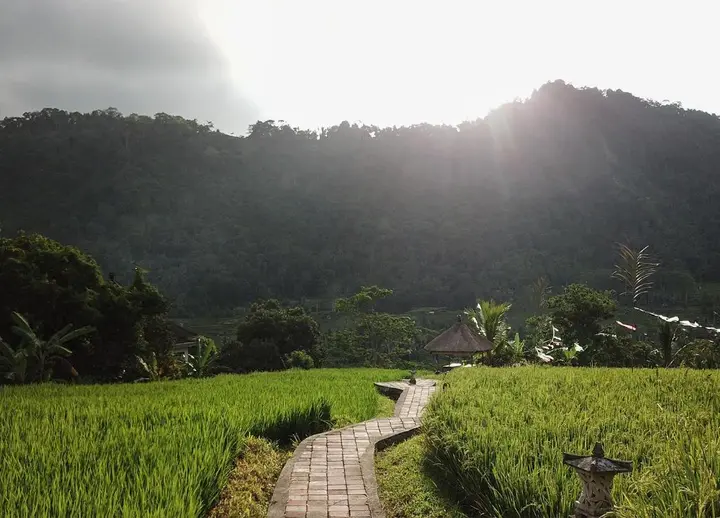 Сидемен: Embang Homestay