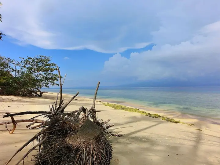 Вори: Onong Resort