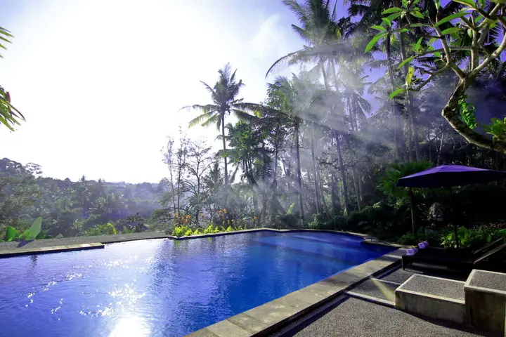 Убуд: Villa Capung Mas