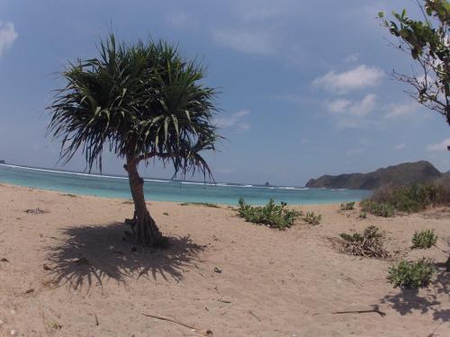 Кута: Pantai South Lombok Villas