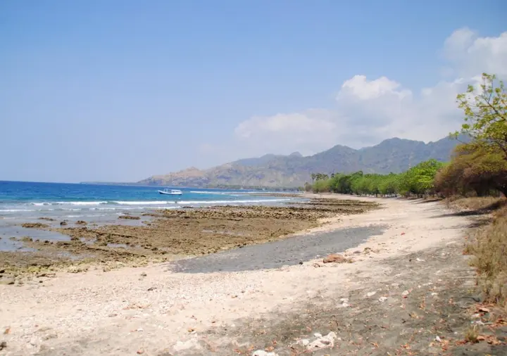 Пемутеран: Tiara Homestay Pemuteran
