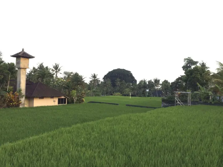 Убуд: Rumah Dadong