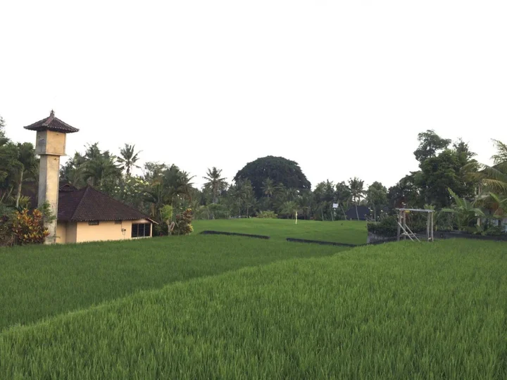 Убуд: Rumah Dadong