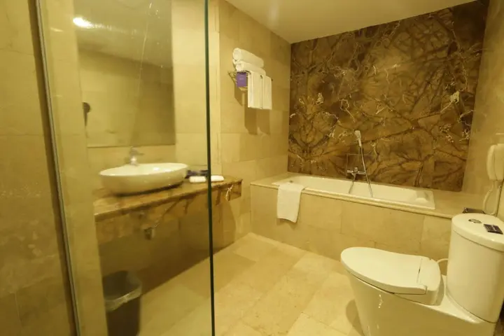 Батам: Da Vienna Boutique Hotel