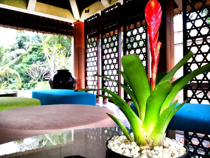 Убуд: Fullmoon Villa Ubud