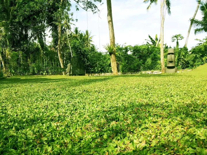 Убуд: Fullmoon Villa Ubud