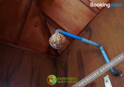 Букит Лаванг: Rain Forest Guest House