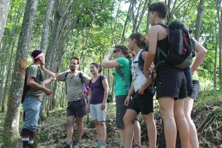 Букит Лаванг: Rain Forest Guest House