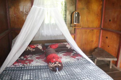 Rain Forest Guest House — фото 2