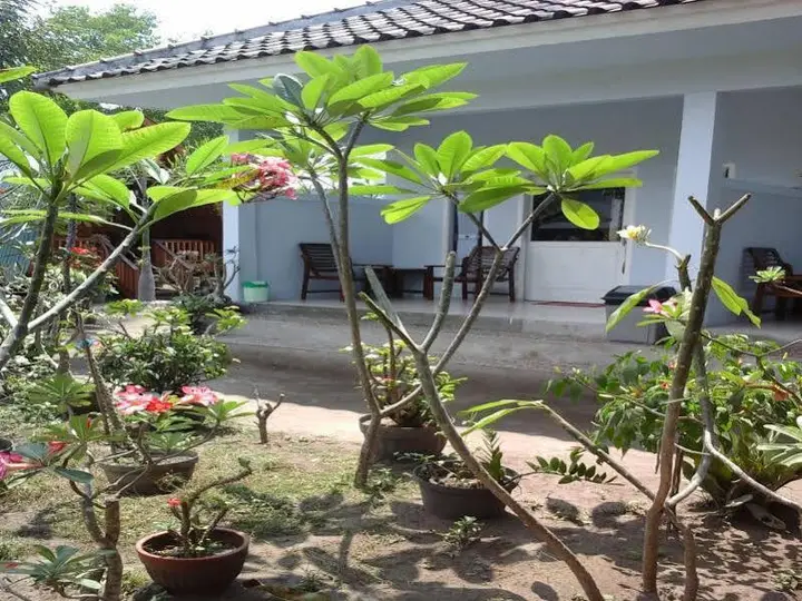 Jibril Guest House — фото 3