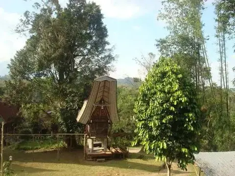 Рантепао: Tongkonan Layuk Lion