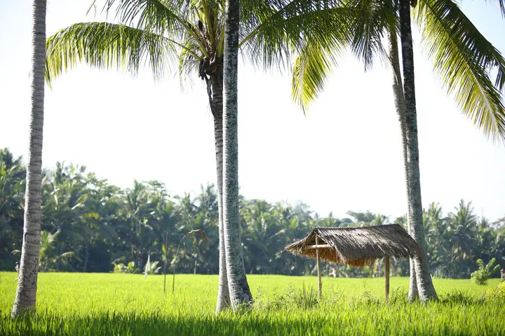 Убуд: The LUXE Ubud, a Boutique Hotel