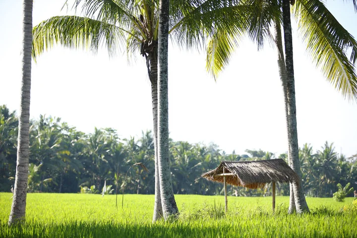 Убуд: The LUXE Ubud, a Boutique Hotel
